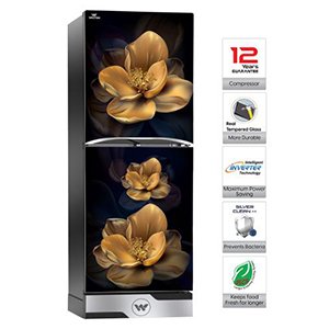 Walton 250 Litter Refrigerator | WFB-2E0-GDEL-XX (Inverter) | Official Walton Fridge